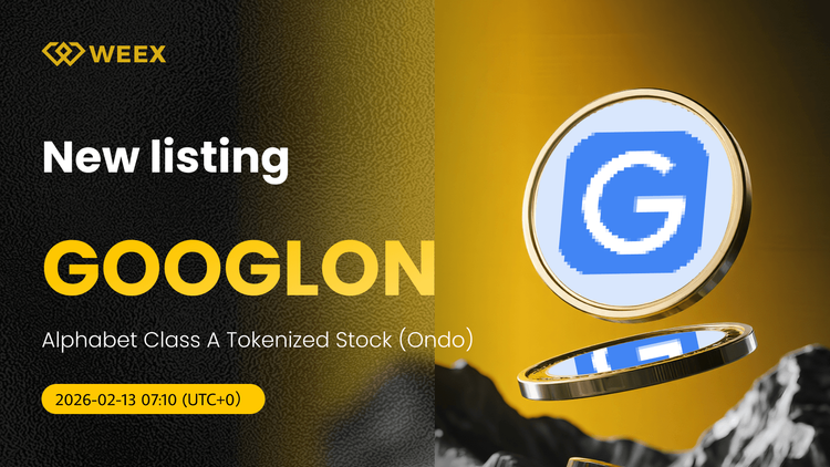 GOOGLON USDT Spot Trading Live on WEEX: Alphabet Class A Token
