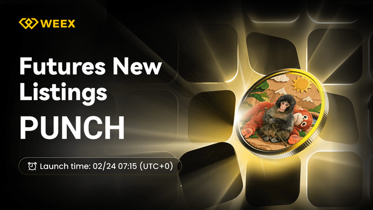 PUNCH USDT Futures: WEEX Lists Punch Coin