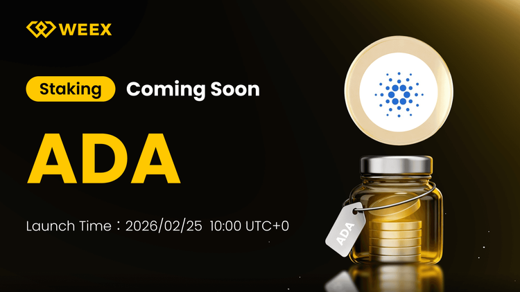 WEEX Launch ADA Staking: Everything You Need to Know